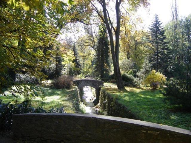 Rezkakas Fogado Bed & Breakfast Зирц Екстериор снимка